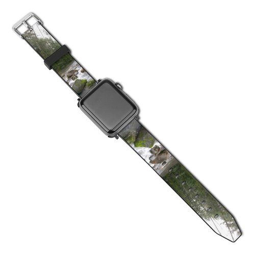 yanfind Watch Strap for Apple Watch River Rocks  Forest Resources Watercourse Natural Landscape Riparian Zone Compatible with iWatch Series 5 4 3 2 1