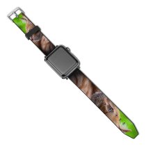 yanfind Watch Strap for Apple Watch Funny Curiosity Sit Cute Sleep Cat Young Little  Portrait Pet Whisker Compatible with iWatch Series 5 4 3 2 1