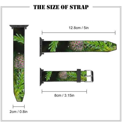 yanfind Watch Strap for Apple Watch Abies Pine Images Conifer Haren Plant Pictures Fir Larch Tree Free Spruce Compatible with iWatch Series 5 4 3 2 1