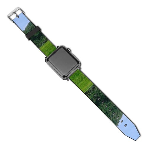 yanfind Watch Strap for Apple Watch Countryside Plant Creative Rice Farm Pictures Grassland Outdoors Farmer Grey Village Compatible with iWatch Series 5 4 3 2 1