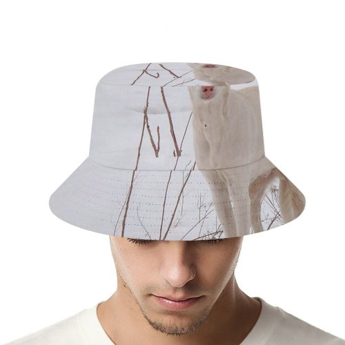 yanfind Adult Fisherman's Hat Kryvyi Images Region Pet Last Wool Year's Dry Dnipropetrovsk Snow Grass Wallpapers Fishing Fisherman Cap Travel Beach Sun protection