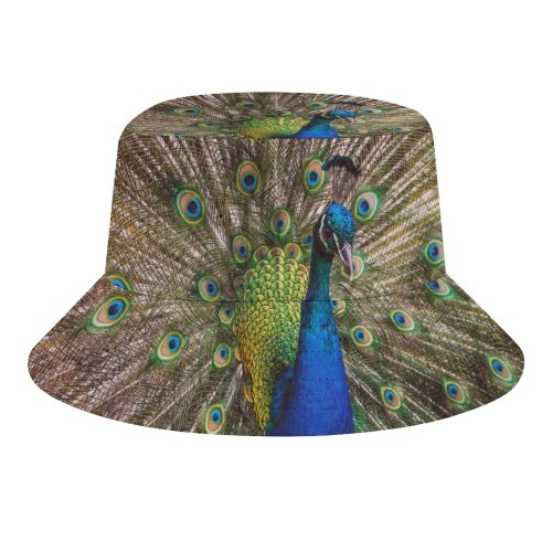 yanfind Adult Fisherman's Hat Paul Carmona Peacock Peafowl Beautiful Feathers Closeup Bird Colorful Fishing Fisherman Cap Travel Beach Sun protection