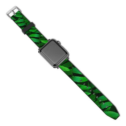 yanfind Watch Strap for Apple Watch Leaves Ferns Leaf Spring Closeup Compatible with iWatch Series 5 4 3 2 1