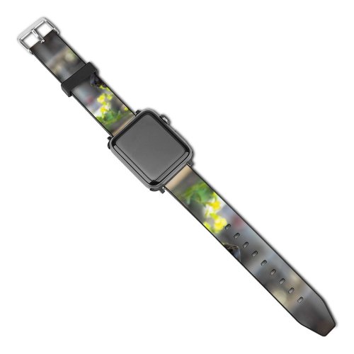 yanfind Watch Strap for Apple Watch Dog German Pet Pictures Domain Images Public Compatible with iWatch Series 5 4 3 2 1