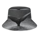 yanfind Adult Fisherman's Hat Images Grizzly Life HQ Buckelwal Lodge Waddington Fluke Sea Wallpapers Bear Sailcone Fishing Fisherman Cap Travel Beach Sun protection