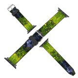 yanfind Watch Strap for Apple Watch Rural Building Countryside Plant Creative Farm Grassland Outdoors Field Images Meadow Compatible with iWatch Series 5 4 3 2 1
