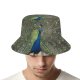 yanfind Adult Fisherman's Hat Plumage Tail Bird Peafowl Bird Organism Feathers Tree Phasianidae Galliformes Peacock Wildlife Fishing Fisherman Cap Travel Beach Sun protection