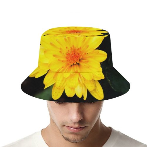 yanfind Adult Fisherman's Hat Plants Images Wallpapers Plant Asteraceae Blossom Flower Daisy Pollen Petal Daisies Free Fishing Fisherman Cap Travel Beach Sun protection