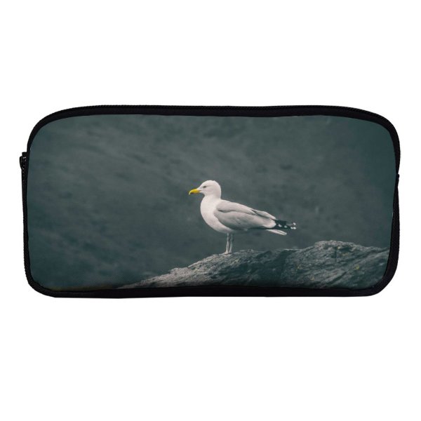 yanfind Pencil Case YHO Shoreline Images Feathers Shore Seagull Wild Bill Wallpapers Sea Wildlife Stock Free Zipper Pens Pouch Bag for Student Office School