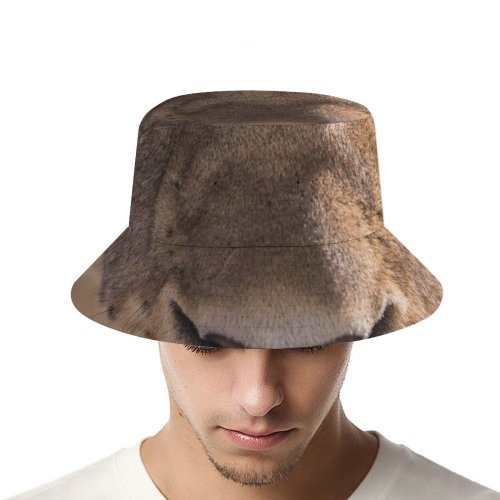 yanfind Adult Fisherman's Hat Images Whiskers Africa Wildlife Safari Cougar Puma Free Lioness Watch Pictures Big Fishing Fisherman Cap Travel Beach Sun protection