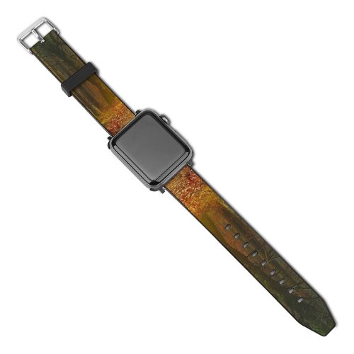 yanfind Watch Strap for Apple Watch Johannes Plenio Forest Road Autumn Fall Foliage Light Foggy Compatible with iWatch Series 5 4 3 2 1