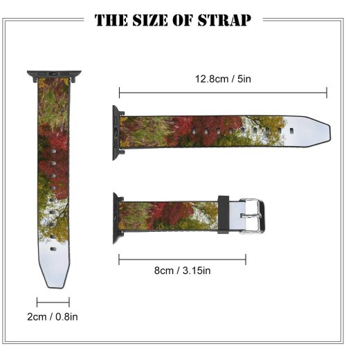 yanfind Watch Strap for Apple Watch Abies Rouge Road National Plant Pictures Outdoors Stock Urban Tree Fir Compatible with iWatch Series 5 4 3 2 1