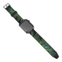 yanfind Watch Strap for Apple Watch Abies Pine Plant Foliage Evergreen Branch Pictures Winter Grey Tree Fir Compatible with iWatch Series 5 4 3 2 1