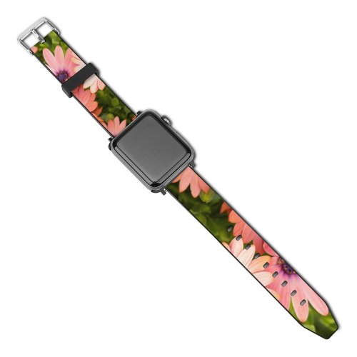 yanfind Watch Strap for Apple Watch Mitchell Luo Flowers Daisies Floral  Bloom Spring Closeup Beautiful Compatible with iWatch Series 5 4 3 2 1