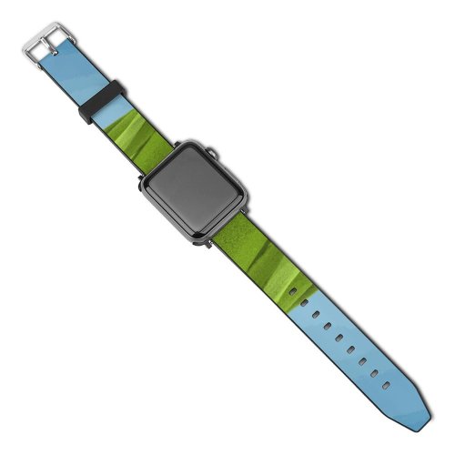 yanfind Watch Strap for Apple Watch Landscape Grass Field Clear Sky Microsoft Pro X Compatible with iWatch Series 5 4 3 2 1