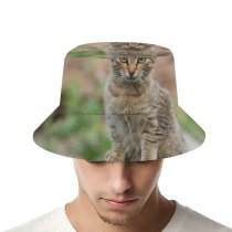 yanfind Adult Fisherman's Hat Lovely Images Wildlife Pictures Pet Creature Curious Free Lynx Cat Fishing Fisherman Cap Travel Beach Sun protection