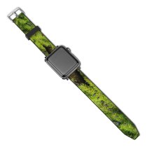 yanfind Watch Strap for Apple Watch Abies  Eco Environmental Tree Pine Summer Plant Fir Larch Light Compatible with iWatch Series 5 4 3 2 1