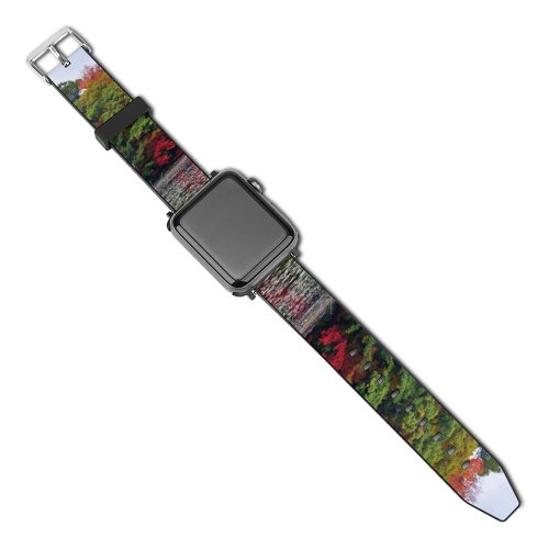 yanfind Watch Strap for Apple Watch Abies Rouge Beach Plant Pictures Outdoors Tree Fir Free  Maple Compatible with iWatch Series 5 4 3 2 1