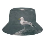 yanfind Adult Fisherman's Hat Shoreline Images Feathers Shore Seagull Wild Bill Wallpapers Sea Wildlife Stock Free Fishing Fisherman Cap Travel Beach Sun protection