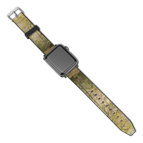 yanfind Watch Strap for Apple Watch Scenery Trail  Tree Wilderness Plant Jungle Woodland Trunk PNG Outdoors Compatible with iWatch Series 5 4 3 2 1