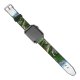 yanfind Watch Strap for Apple Watch Creative Valley Pictures Alaska Outdoors Waterfall Alaska's  Range Bay Usa Compatible with iWatch Series 5 4 3 2 1