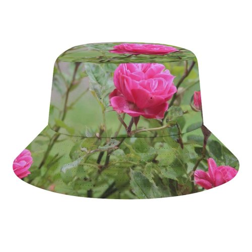 yanfind Adult Fisherman's Hat Plants Petals Images Wallpapers Roses Rose Summer Tiny Flower Pictures Free Flowers Fishing Fisherman Cap Travel Beach Sun protection