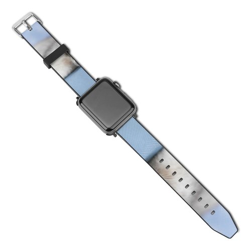 yanfind Watch Strap for Apple Watch Funny Curiosity Cute Cat Young Little  Portrait Tabby Pet Whisker Downy Compatible with iWatch Series 5 4 3 2 1