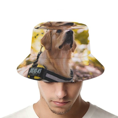 yanfind Adult Fisherman's Hat Lovely Images Golden Wallpapers Forest Harness Pictures Dog Pet Free Strap Fishing Fisherman Cap Travel Beach Sun protection