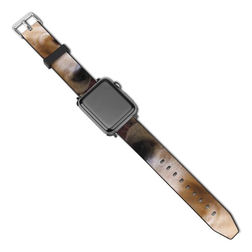 yanfind Watch Strap for Apple Watch Dog Pet Free Pictures Stock Golden Images Compatible with iWatch Series 5 4 3 2 1