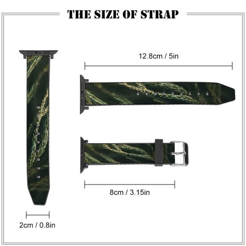 yanfind Watch Strap for Apple Watch Abies Gradient Pine Plant Spruce Needles Lines Pictures PNG Tree Fir Compatible with iWatch Series 5 4 3 2 1