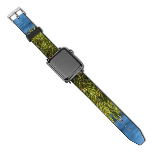 yanfind Watch Strap for Apple Watch Abies Pine Plant Pictures Sea Stock Tree Fir Free  Conifer Compatible with iWatch Series 5 4 3 2 1