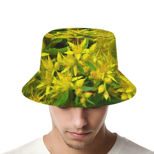 yanfind Adult Fisherman's Hat Planter Images Photo Bush Pottery Potted Flowers Macro Jar Herbs Grass Vase Fishing Fisherman Cap Travel Beach Sun protection