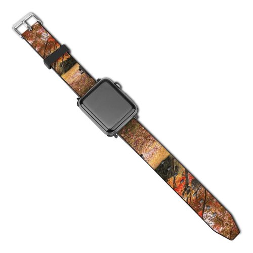 yanfind Watch Strap for Apple Watch William Warby Maple Trees Autumn Leaves Wooden Bench Beautiful Scenery Compatible with iWatch Series 5 4 3 2 1
