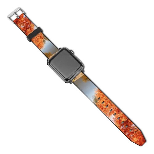 yanfind Watch Strap for Apple Watch Scenery Tree Nivelles Boulevard Plant Parc Wallon Leaf La PNG Brabant Compatible with iWatch Series 5 4 3 2 1