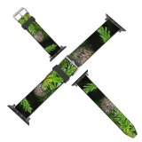 yanfind Watch Strap for Apple Watch Abies Pine Images Conifer Haren Plant Pictures Fir Larch Tree Free Spruce Compatible with iWatch Series 5 4 3 2 1