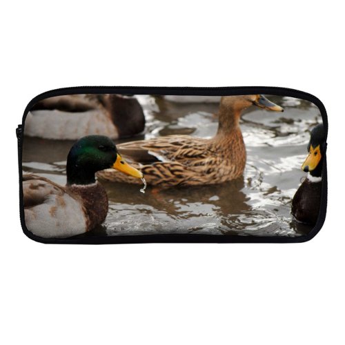 yanfind Pencil Case YHO Duck Winter Ducks Sardinia Coghinas Beak Geese Vertebrate Duck Swans Bird Organism Zipper Pens Pouch Bag for Student Office School