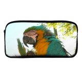 yanfind Pencil Case YHO Claw Peak Macaw Beak Fauna Parrot Fly Adaptation   Feathers Zipper Pens Pouch Bag for Student Office School
