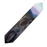 Yanfind Table Runner Blur Fur Monkey Focus Macaque Field Ape Shallow Primate Furry Wildlife Depth Everyday Dining Wedding Party Holiday Home Decor