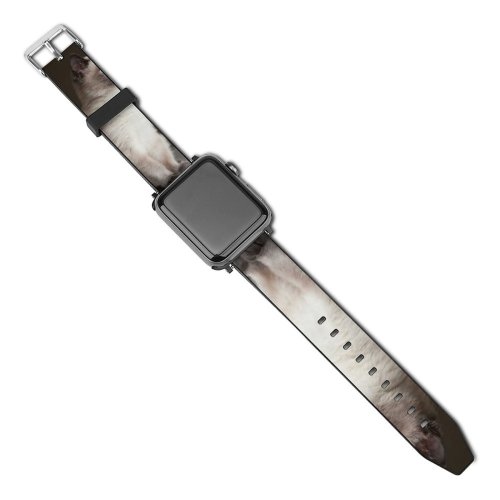 yanfind Watch Strap for Apple Watch Cute Images Siamese PNG Cat Pictures Thai Wallpapers Pet Grey Kitten Compatible with iWatch Series 5 4 3 2 1