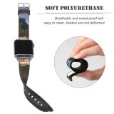 yanfind Watch Strap for Apple Watch Abies National Plant Forest Pictures Winter Canadian Outdoors Stock Grey Snow Compatible with iWatch Series 5 4 3 2 1