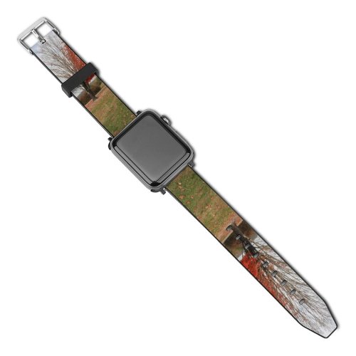 yanfind Watch Strap for Apple Watch Tree Half Strange Odd Different Halfway Halves Leaves Golden Fall Fallen Autumn Compatible with iWatch Series 5 4 3 2 1