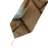 Yanfind Table Runner Walkway Pet Strap Pavement Pictures Floor Stock Spaniel Flagstone Cocker Free Everyday Dining Wedding Party Holiday Home Decor
