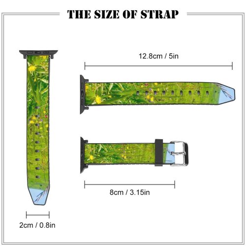 yanfind Watch Strap for Apple Watch Rural Countryside Plant Alpe Farm PNG Grassland Outdoors D'huez Huez France Compatible with iWatch Series 5 4 3 2 1