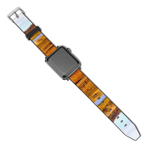 yanfind Watch Strap for Apple Watch Lake Tree States Minnesota Plant Reservoir Belle Outdoors Wallpapers Land Autumn Compatible with iWatch Series 5 4 3 2 1