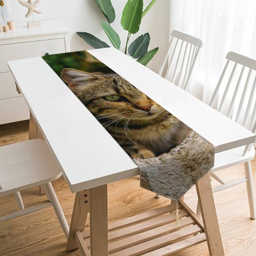 Yanfind Table Runner Young Grass Pet Funny Outdoors Kitten Portrait Wildlife Cute Little Staring Cat Everyday Dining Wedding Party Holiday Home Decor
