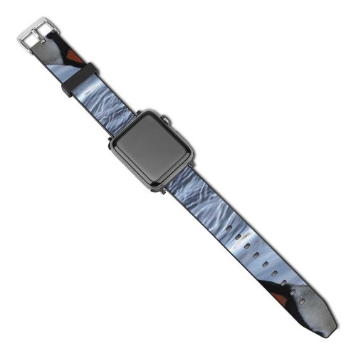 yanfind Watch Strap for Apple Watch Swans  Swim Bird Feather Queens Beak Ducks Geese Waterfowl Duck Goose Compatible with iWatch Series 5 4 3 2 1