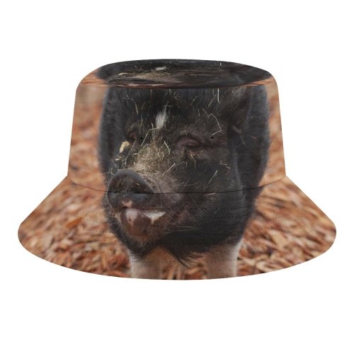 yanfind Adult Fisherman's Hat Sanctuary Images Hog Wallpapers Grey Pictures Happy Pig Boar Farm Stock Free Fishing Fisherman Cap Travel Beach Sun protection