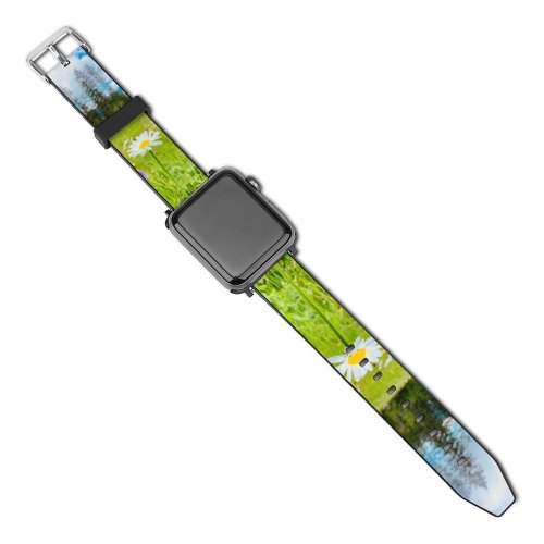 yanfind Watch Strap for Apple Watch Rural Countryside Plant Schwyz Switzerland Farm Pictures Grassland Outdoors Stock Wandern Compatible with iWatch Series 5 4 3 2 1