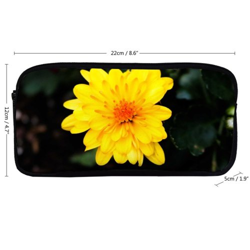 yanfind Pencil Case YHO Plants Images Wallpapers Plant Asteraceae  Flower Daisy Pollen Petal Daisies Free Zipper Pens Pouch Bag for Student Office School