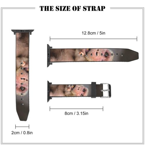 yanfind Watch Strap for Apple Watch  Portrait Surprise Watching Fur Look Jaipur Peanut Eating Face Images Monkey Compatible with iWatch Series 5 4 3 2 1